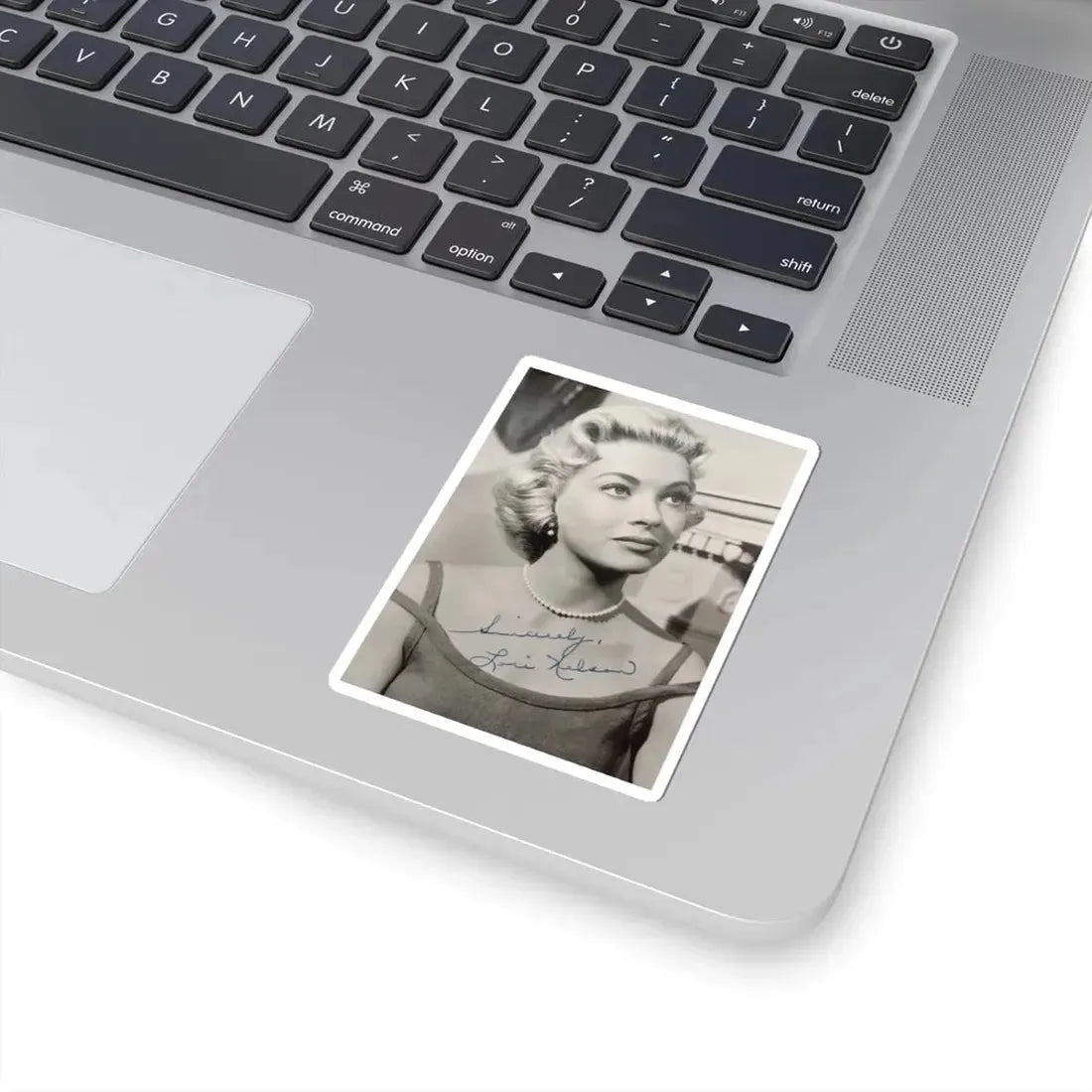 Lori Nelson #201 (Vintage Female Icon) STICKER Vinyl Kiss-Cut Decal - The Sticker Space