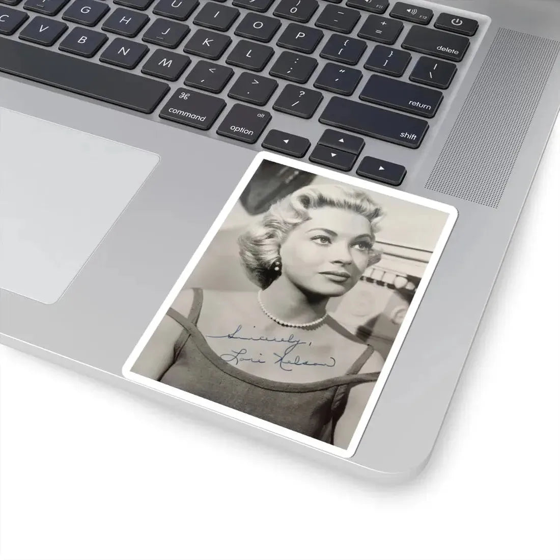 Lori Nelson #201 (Vintage Female Icon) STICKER Vinyl Kiss-Cut Decal - The Sticker Space