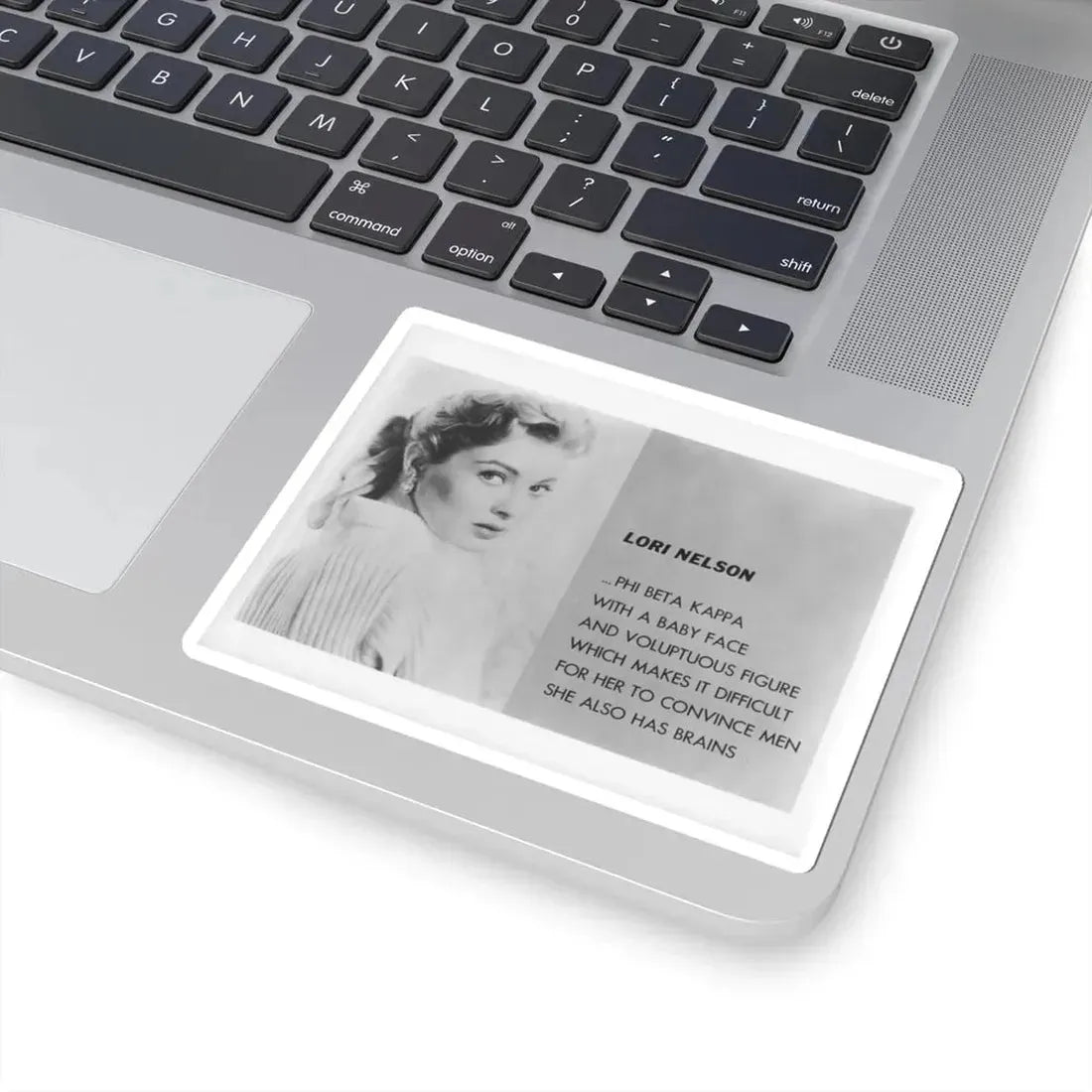 Lori Nelson #202 (Vintage Female Icon) STICKER Vinyl Kiss-Cut Decal - The Sticker Space