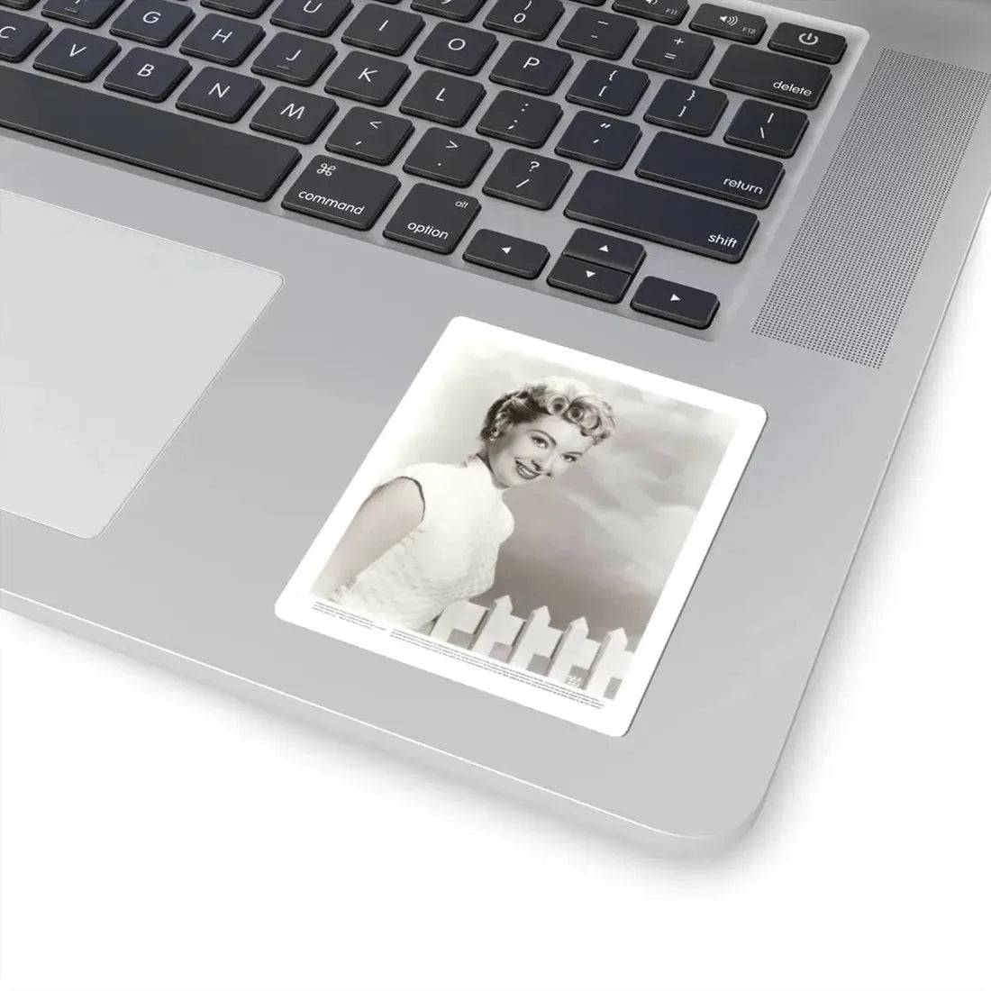 Lori Nelson #204 (Vintage Female Icon) STICKER Vinyl Kiss-Cut Decal - The Sticker Space