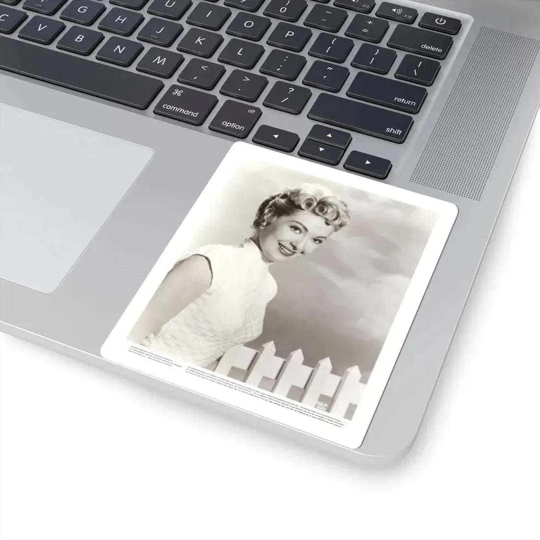 Lori Nelson #204 (Vintage Female Icon) STICKER Vinyl Kiss-Cut Decal - The Sticker Space