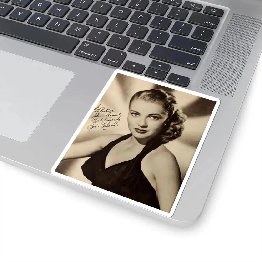 Lori Nelson #208 (Vintage Female Icon) STICKER Vinyl Kiss-Cut Decal - The Sticker Space