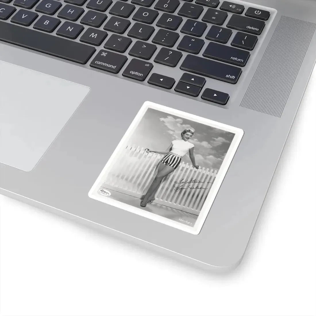 Lori Nelson #214 (Vintage Female Icon) STICKER Vinyl Kiss-Cut Decal - The Sticker Space