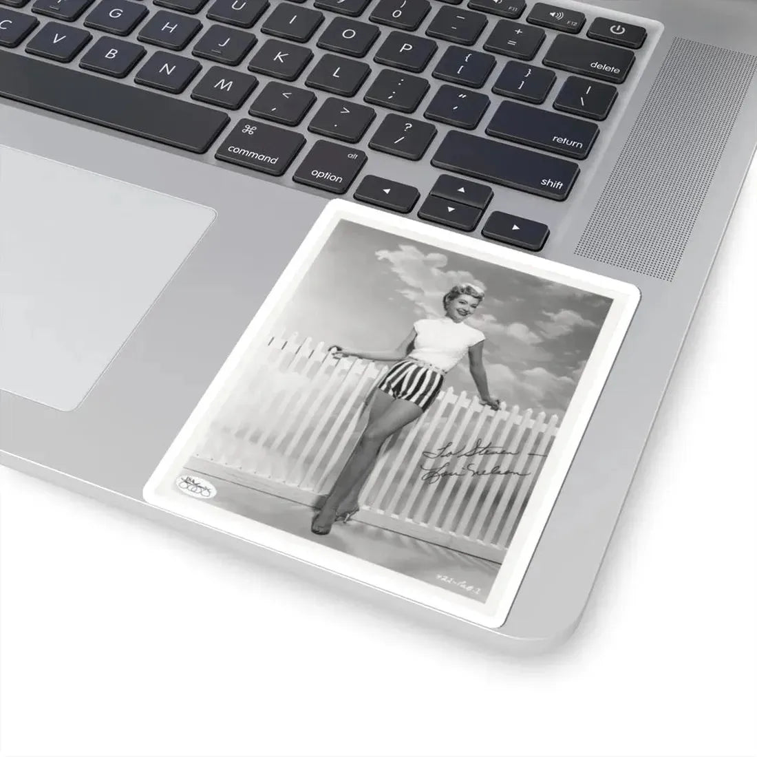 Lori Nelson #214 (Vintage Female Icon) STICKER Vinyl Kiss-Cut Decal - The Sticker Space