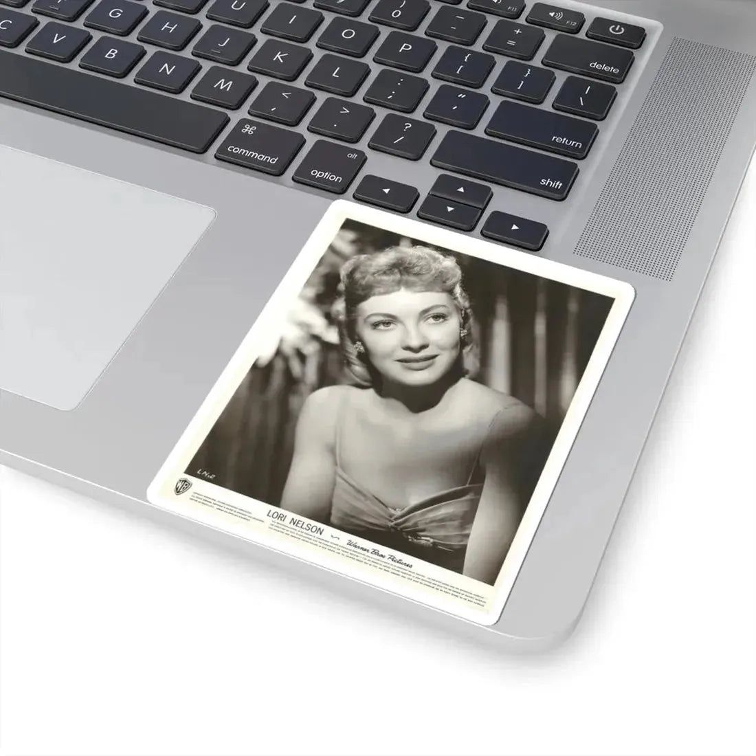 Lori Nelson #216 (Vintage Female Icon) STICKER Vinyl Kiss-Cut Decal - The Sticker Space