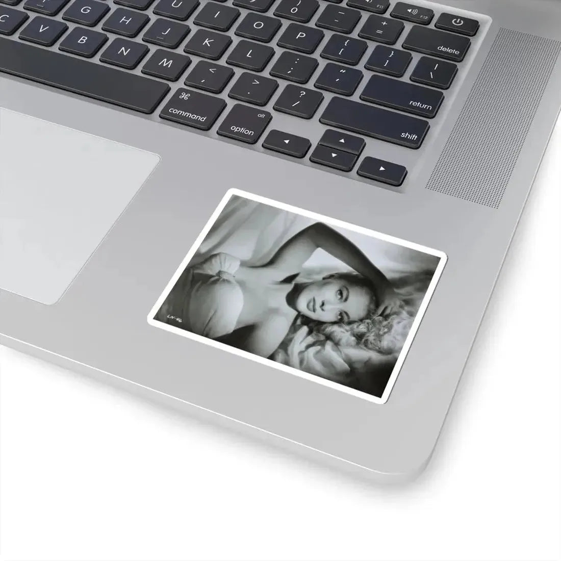 Lori Nelson #232 (Vintage Female Icon) STICKER Vinyl Kiss-Cut Decal - The Sticker Space