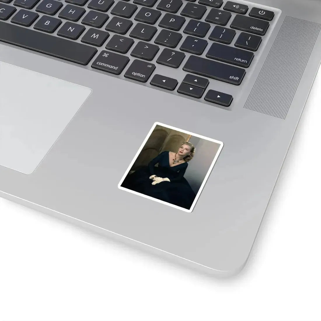 Lori Nelson #233 (Vintage Female Icon) STICKER Vinyl Kiss-Cut Decal - The Sticker Space