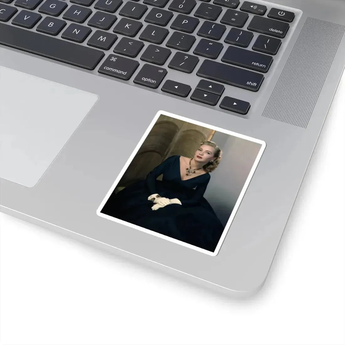 Lori Nelson #233 (Vintage Female Icon) STICKER Vinyl Kiss-Cut Decal - The Sticker Space