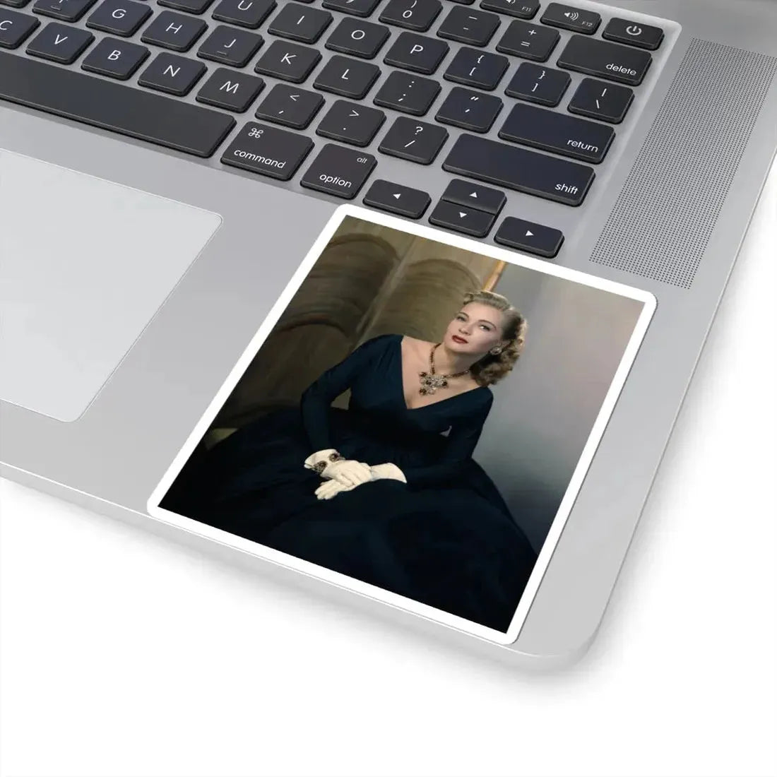 Lori Nelson #233 (Vintage Female Icon) STICKER Vinyl Kiss-Cut Decal - The Sticker Space