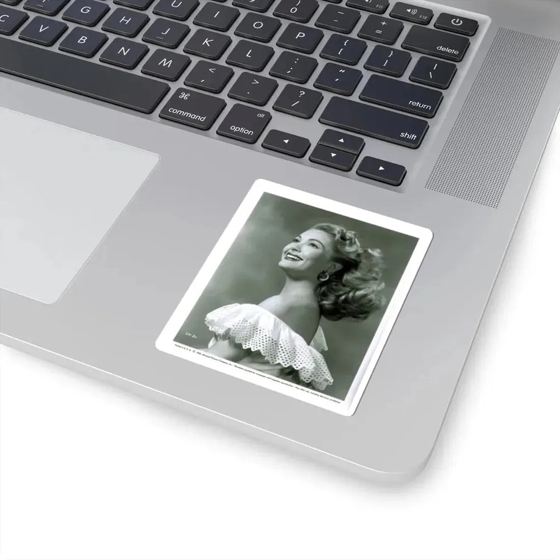 Lori Nelson #32 (Vintage Female Icon) STICKER Vinyl Kiss-Cut Decal - The Sticker Space