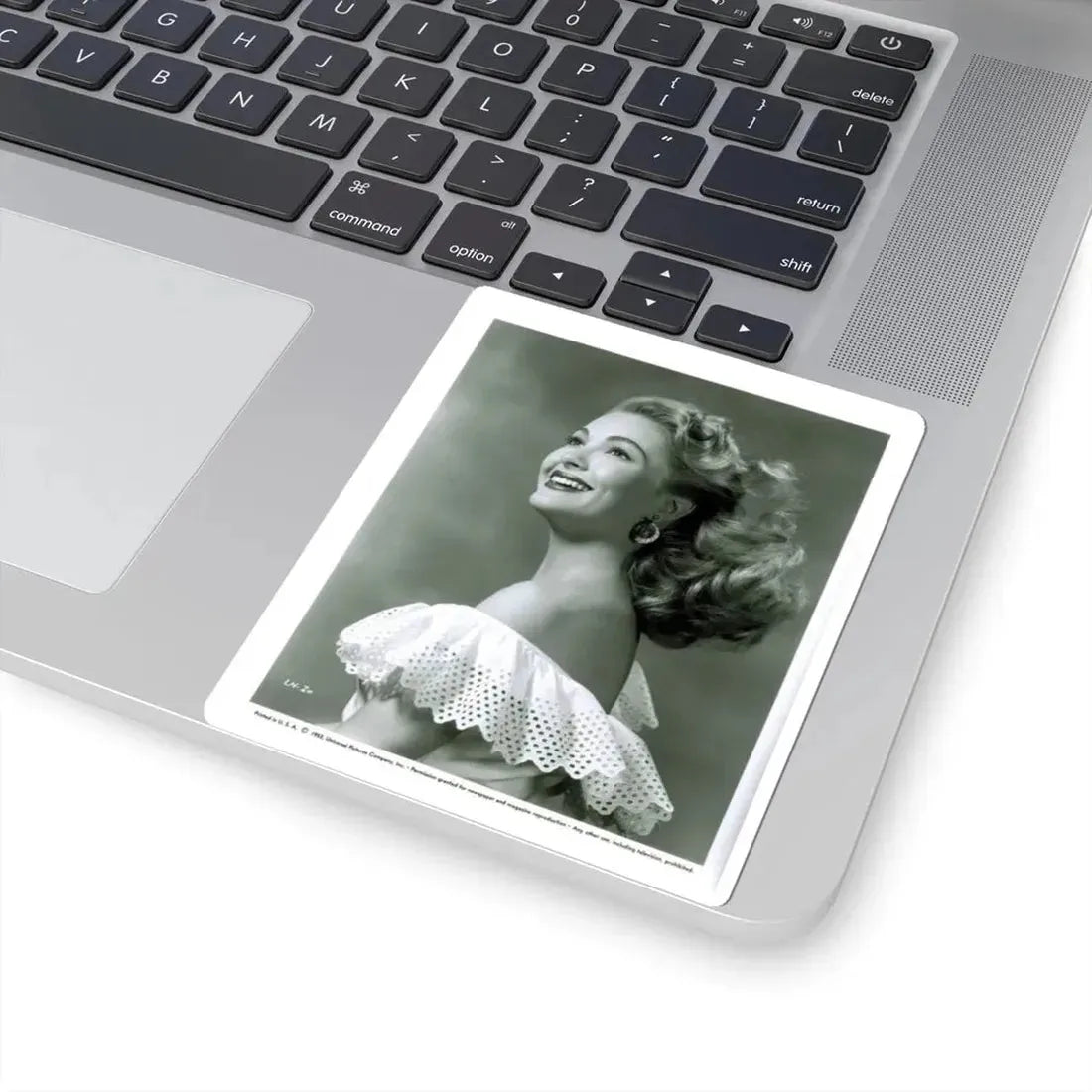 Lori Nelson #32 (Vintage Female Icon) STICKER Vinyl Kiss-Cut Decal - The Sticker Space