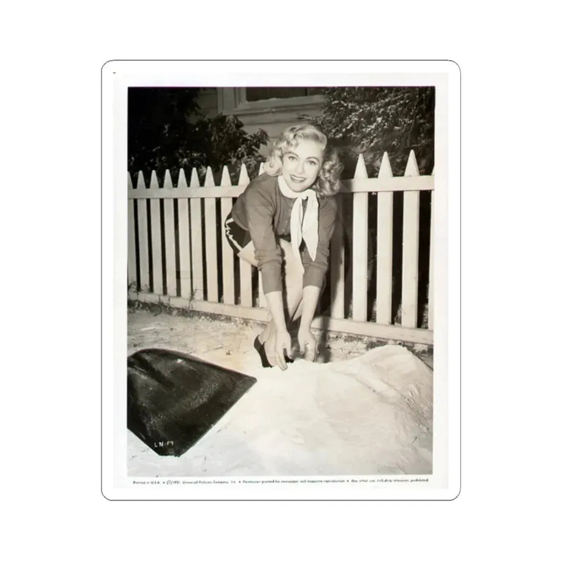 Lori Nelson #44 (Vintage Female Icon) STICKER Vinyl Kiss-Cut Decal 3 Inch White - The Sticker Space