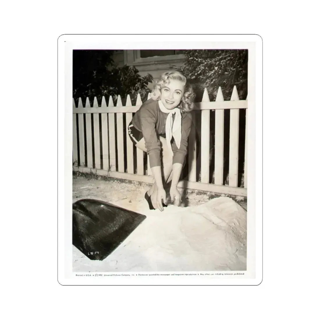 Lori Nelson #44 (Vintage Female Icon) STICKER Vinyl Kiss-Cut Decal 4 Inch White - The Sticker Space