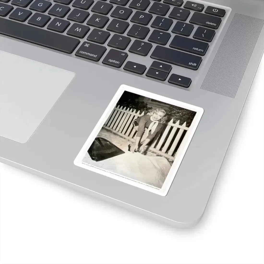 Lori Nelson #44 (Vintage Female Icon) STICKER Vinyl Kiss-Cut Decal - The Sticker Space