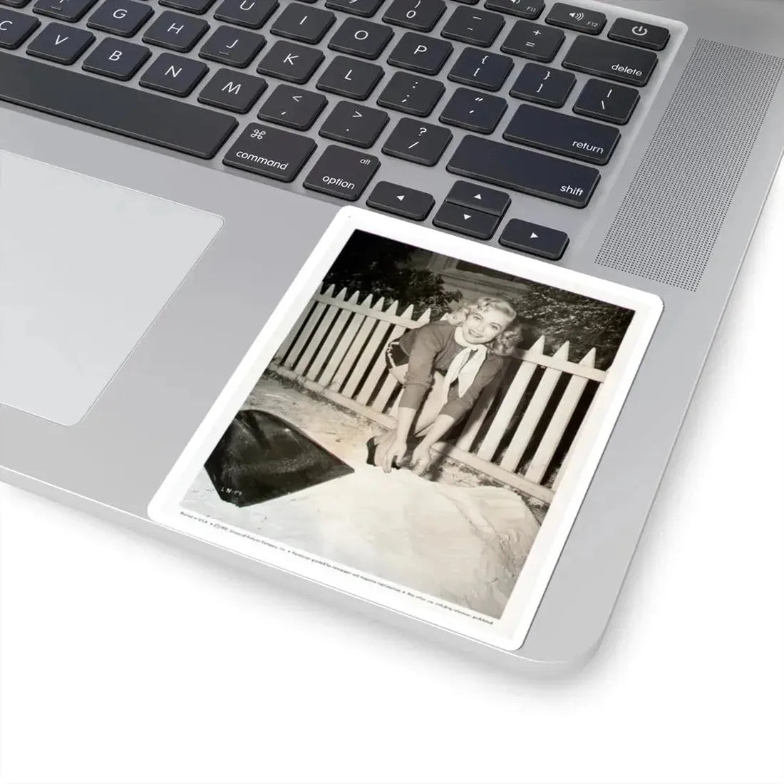 Lori Nelson #44 (Vintage Female Icon) STICKER Vinyl Kiss-Cut Decal - The Sticker Space