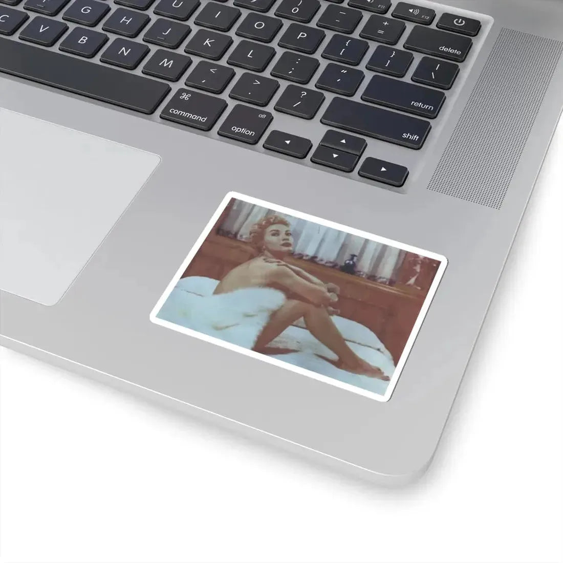 Lori Nelson #57 (Vintage Female Icon) STICKER Vinyl Kiss-Cut Decal - The Sticker Space