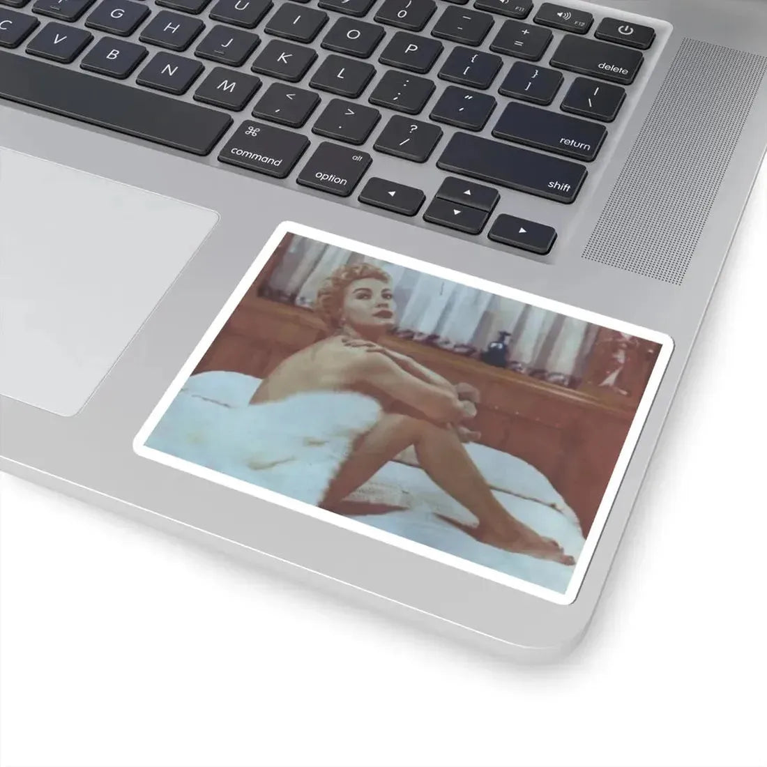 Lori Nelson #57 (Vintage Female Icon) STICKER Vinyl Kiss-Cut Decal - The Sticker Space