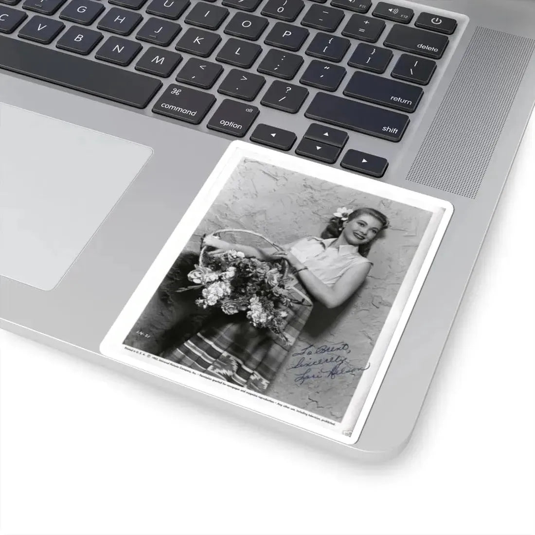 Lori Nelson #74 (Vintage Female Icon) STICKER Vinyl Kiss-Cut Decal - The Sticker Space