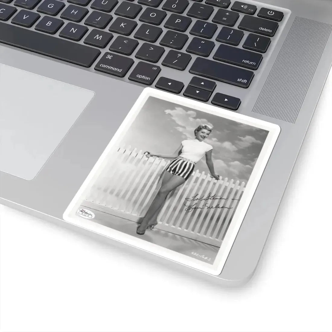 Lori Nelson #84 (Vintage Female Icon) STICKER Vinyl Kiss-Cut Decal - The Sticker Space