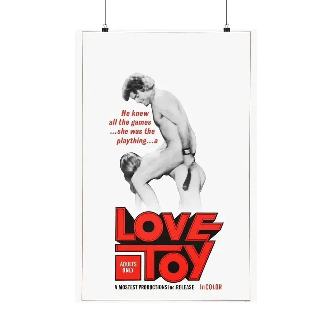 LOVE TOY 1971 - Paper Movie Poster 20″ x 30″ Matte - The Sticker Space