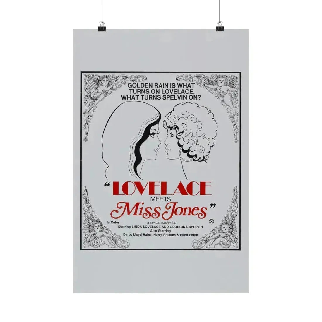 LOVELACE MEETS MISS JONES 1975 - Paper Movie Poster 16″ x 24″ Matte - The Sticker Space