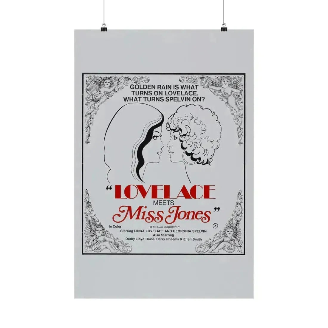 LOVELACE MEETS MISS JONES 1975 - Paper Movie Poster 20″ x 30″ Matte - The Sticker Space