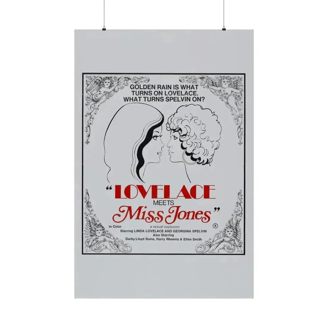 LOVELACE MEETS MISS JONES 1975 - Paper Movie Poster 36" x 54" Matte - The Sticker Space