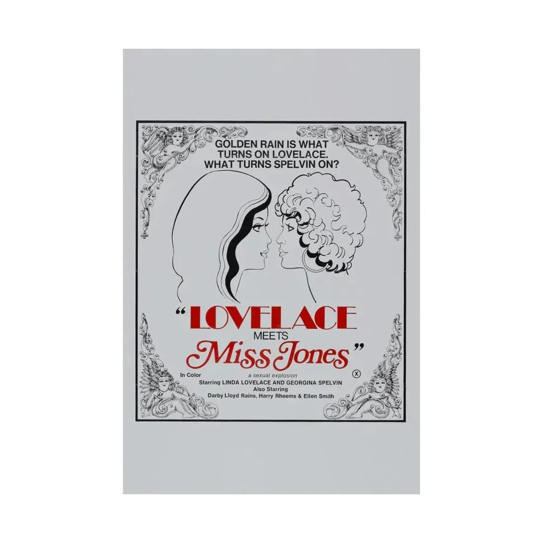 LOVELACE MEETS MISS JONES 1975 - Paper Movie Poster - The Sticker Space