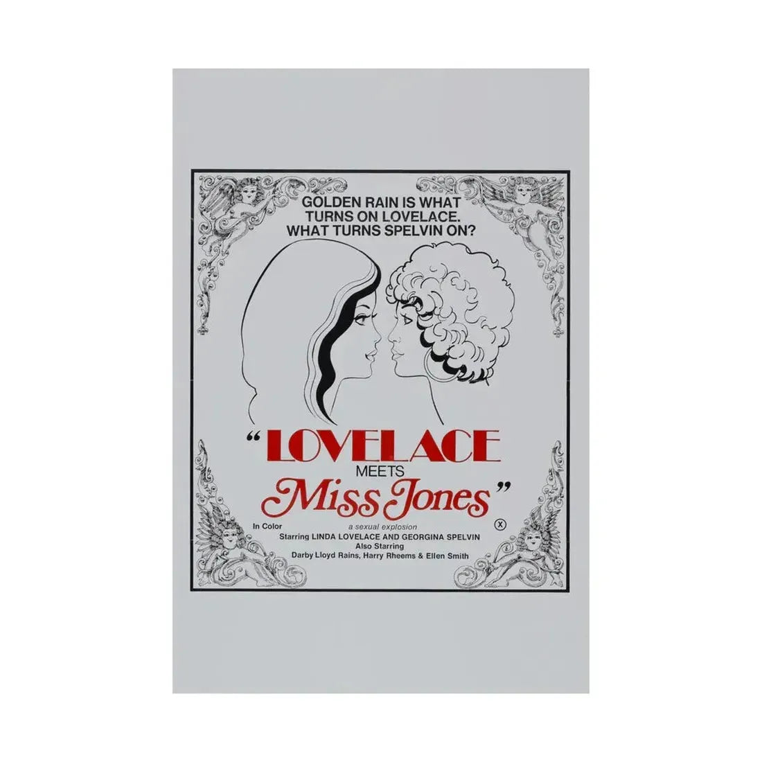 LOVELACE MEETS MISS JONES 1975 - Paper Movie Poster - The Sticker Space