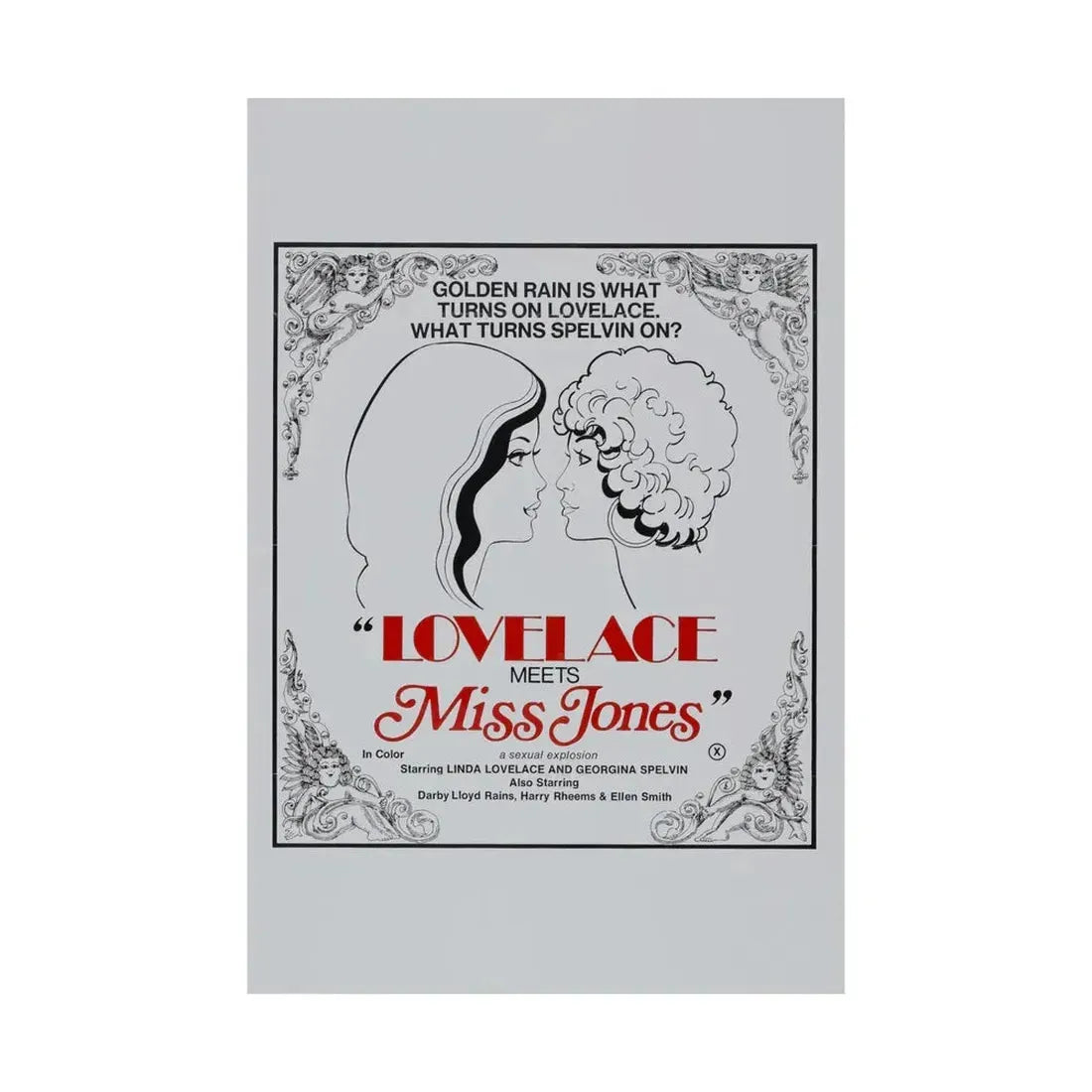 LOVELACE MEETS MISS JONES 1975 - Paper Movie Poster - The Sticker Space