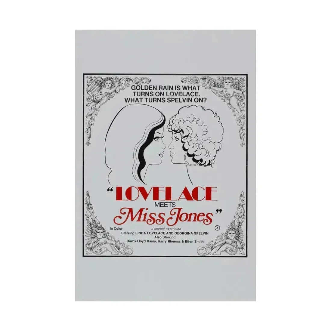 LOVELACE MEETS MISS JONES 1975 - Paper Movie Poster - The Sticker Space