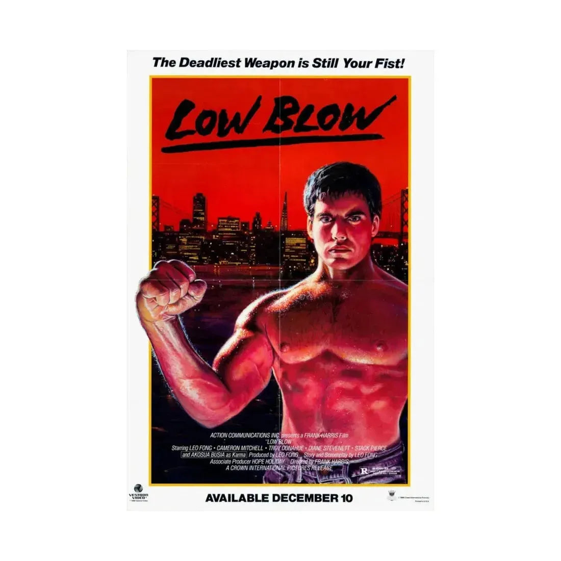 LOW BLOW (LOWBLOW) 1986 - Paper Movie Poster - The Sticker Space