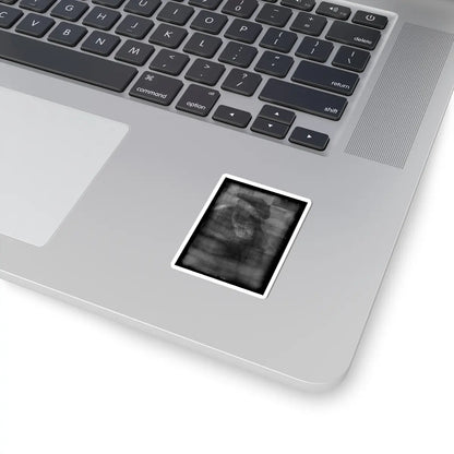 SKU:TSS-STICK-LCSCRN-2X2-40 Sizes:2" × 2" Types:White