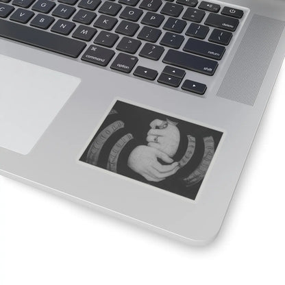 SKU:TSS-STICK-LCSCRN-3X3-1N1Z7 Sizes:3" × 3" Types:Transparent