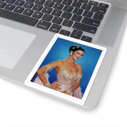 Lynda Carter #166 (Vintage Female Icon) STICKER Vinyl Kiss-Cut Decal - The Sticker Space