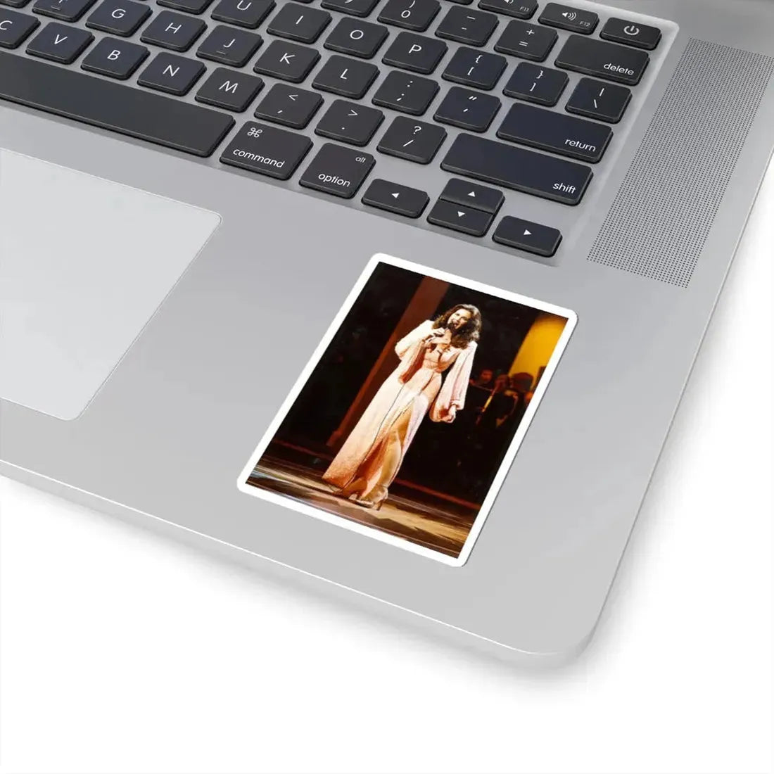 Lynda Carter #170 (Vintage Female Icon) STICKER Vinyl Kiss-Cut Decal - The Sticker Space