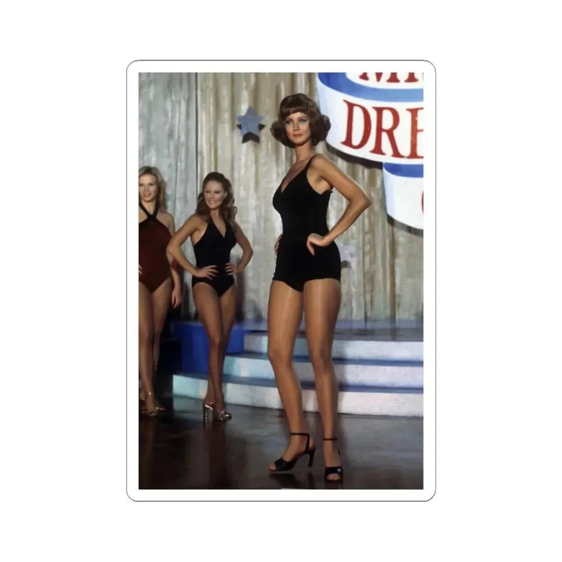 Lynda Carter #171 (Vintage Female Icon) STICKER Vinyl Kiss-Cut Decal 3 Inch White - The Sticker Space