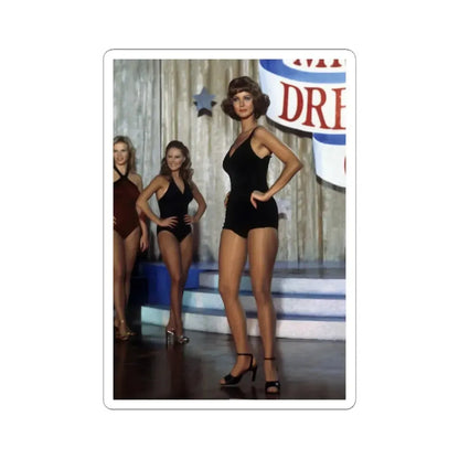 Lynda Carter #171 (Vintage Female Icon) STICKER Vinyl Kiss-Cut Decal 3 Inch White - The Sticker Space