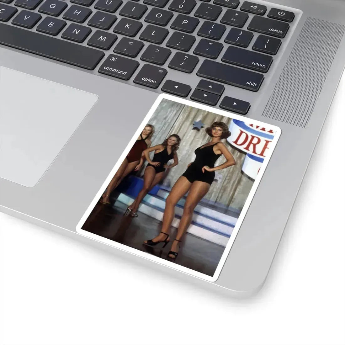 Lynda Carter #171 (Vintage Female Icon) STICKER Vinyl Kiss-Cut Decal - The Sticker Space