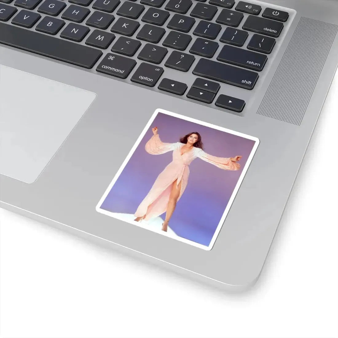 Lynda Carter #178 (Vintage Female Icon) STICKER Vinyl Kiss-Cut Decal - The Sticker Space