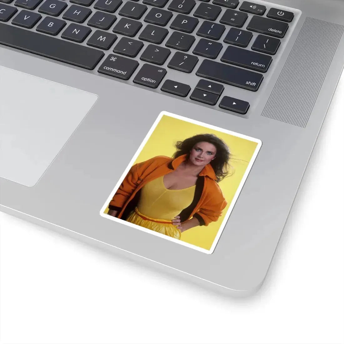 Lynda Carter #180 (Vintage Female Icon) STICKER Vinyl Kiss-Cut Decal - The Sticker Space