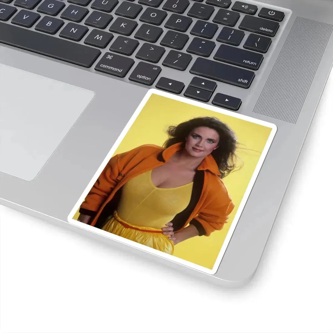 Lynda Carter #180 (Vintage Female Icon) STICKER Vinyl Kiss-Cut Decal - The Sticker Space