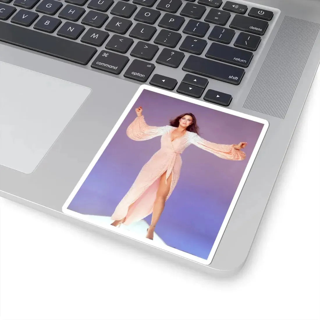 Lynda Carter #199 (Vintage Female Icon) STICKER Vinyl Kiss-Cut Decal - The Sticker Space