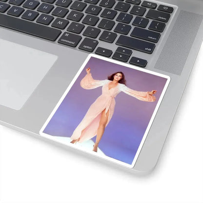 Lynda Carter #199 (Vintage Female Icon) STICKER Vinyl Kiss-Cut Decal - The Sticker Space