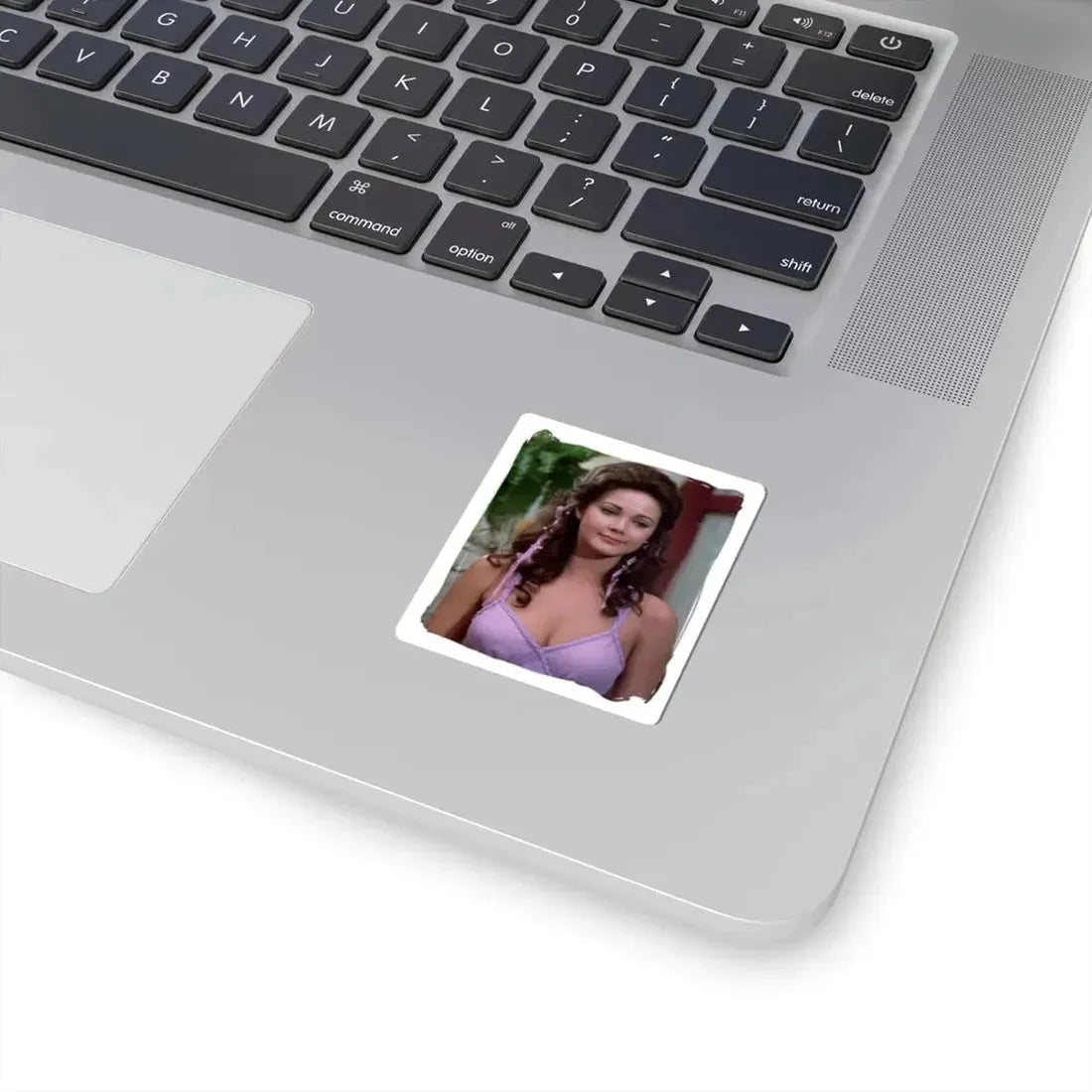 Lynda Carter #202 (Vintage Female Icon) STICKER Vinyl Kiss-Cut Decal - The Sticker Space