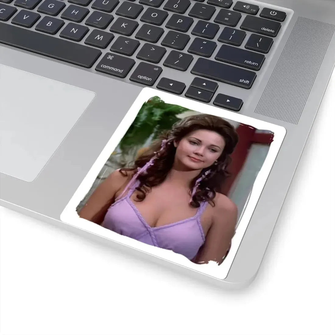 Lynda Carter #202 (Vintage Female Icon) STICKER Vinyl Kiss-Cut Decal - The Sticker Space