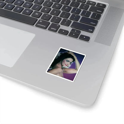 Lynda Carter #203 (Vintage Female Icon) STICKER Vinyl Kiss-Cut Decal - The Sticker Space