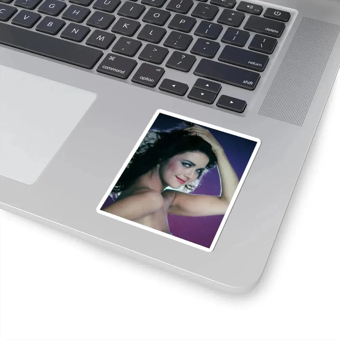 Lynda Carter #203 (Vintage Female Icon) STICKER Vinyl Kiss-Cut Decal - The Sticker Space