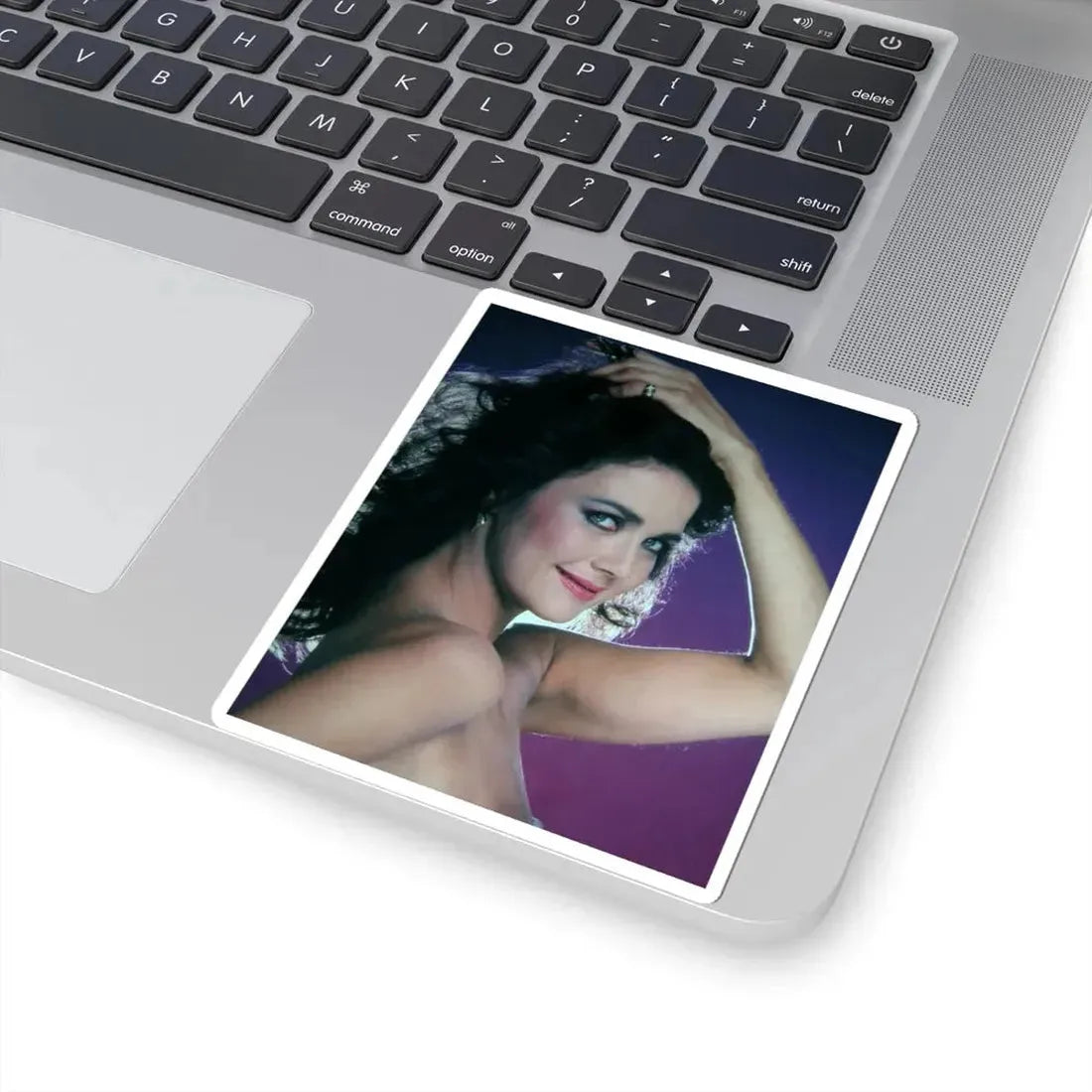Lynda Carter #203 (Vintage Female Icon) STICKER Vinyl Kiss-Cut Decal - The Sticker Space