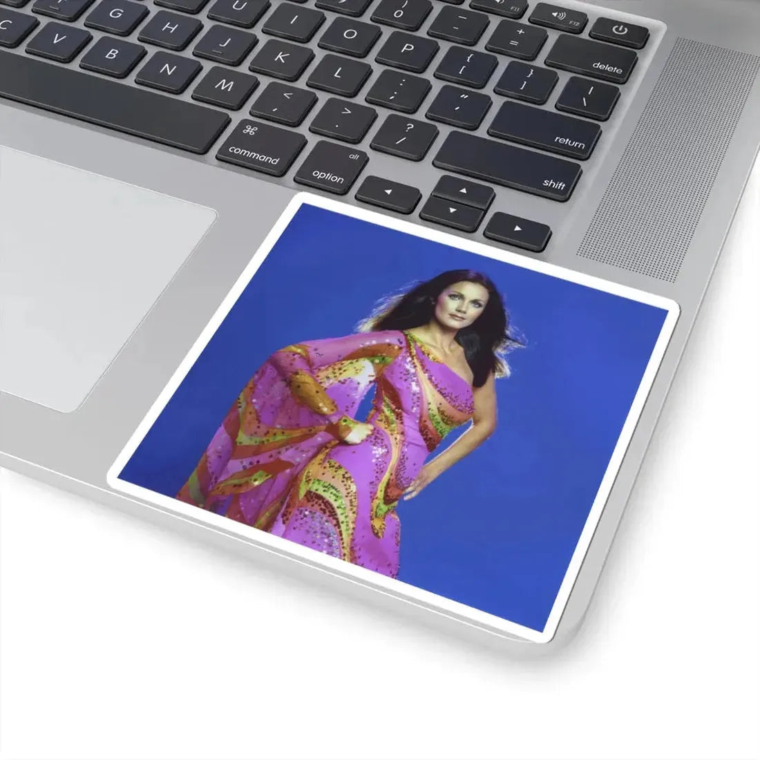 Lynda Carter #224 (Vintage Female Icon) STICKER Vinyl Kiss-Cut Decal - The Sticker Space